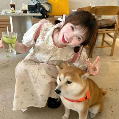 恋恋风尘
